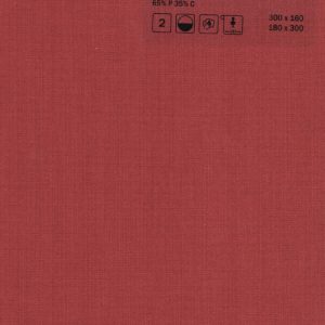 amigo-300106-4080