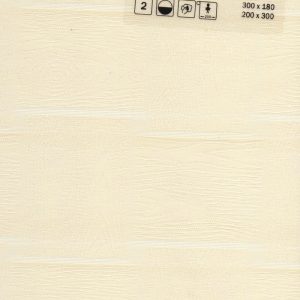 amigo-300221-2261