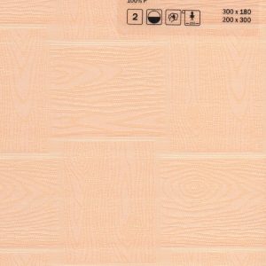 amigo-300221-4240