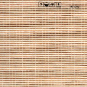 amigo-300502-2746